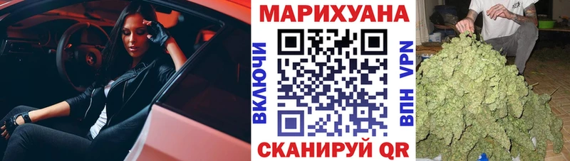 Марихуана гибрид  Бологое 
